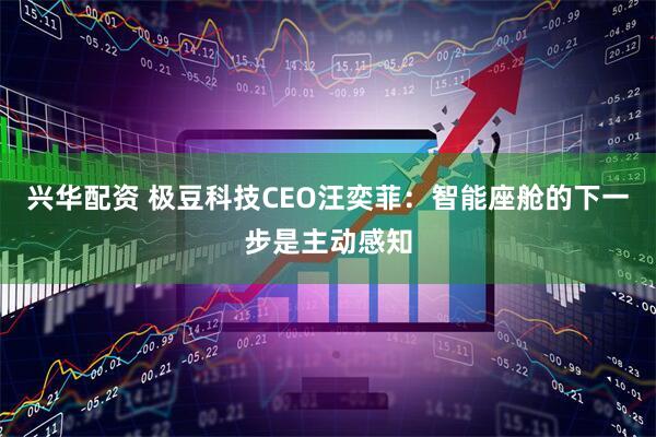 兴华配资 极豆科技CEO汪奕菲：智能座舱的下一步是主动感知