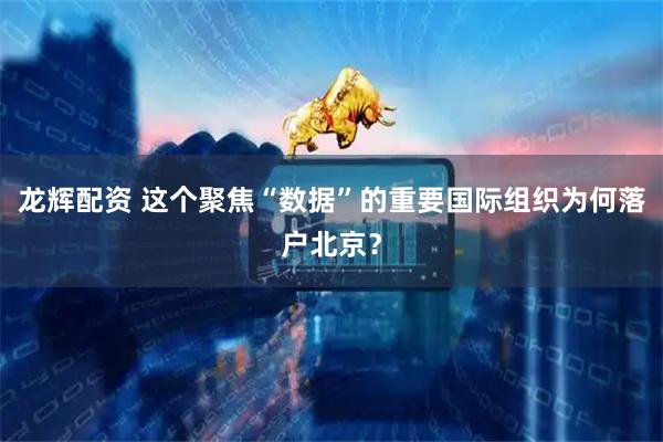 龙辉配资 这个聚焦“数据”的重要国际组织为何落户北京？