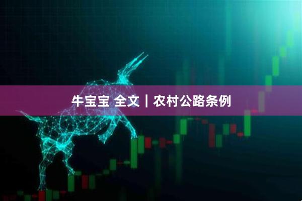 牛宝宝 全文｜农村公路条例