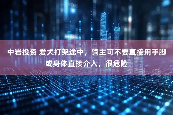 中岩投资 爱犬打架途中，饲主可不要直接用手脚或身体直接介入，很危险