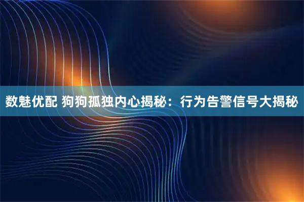数魅优配 狗狗孤独内心揭秘：行为告警信号大揭秘